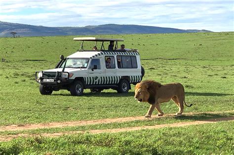 2 Weeks 14 Days Kenya Tanzania safari combined epic vacation